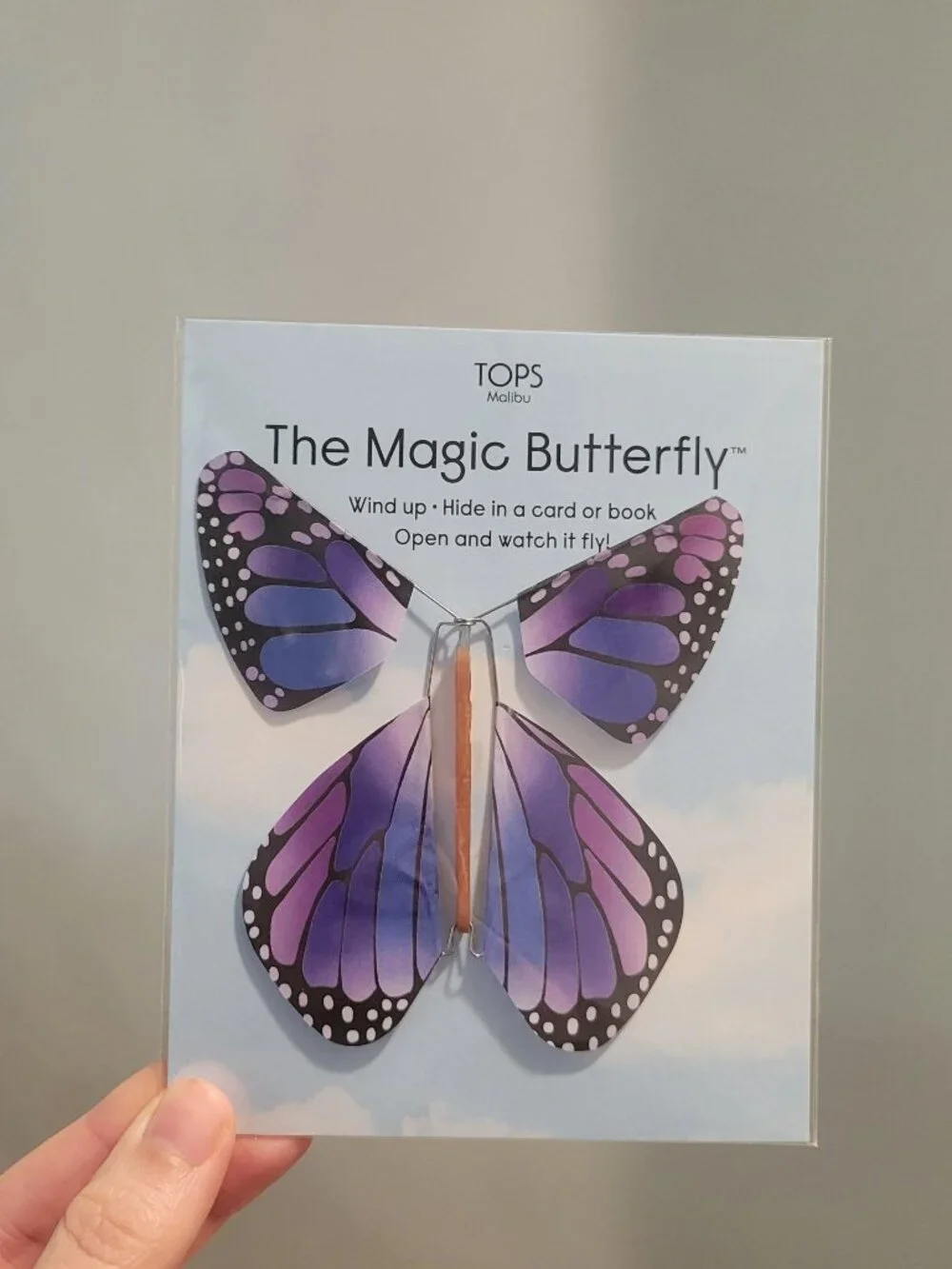 NWT Tops Malibu Flying Magic Butterfly - Purple - Set of 2